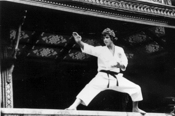 karate01.gif (28299 Byte)